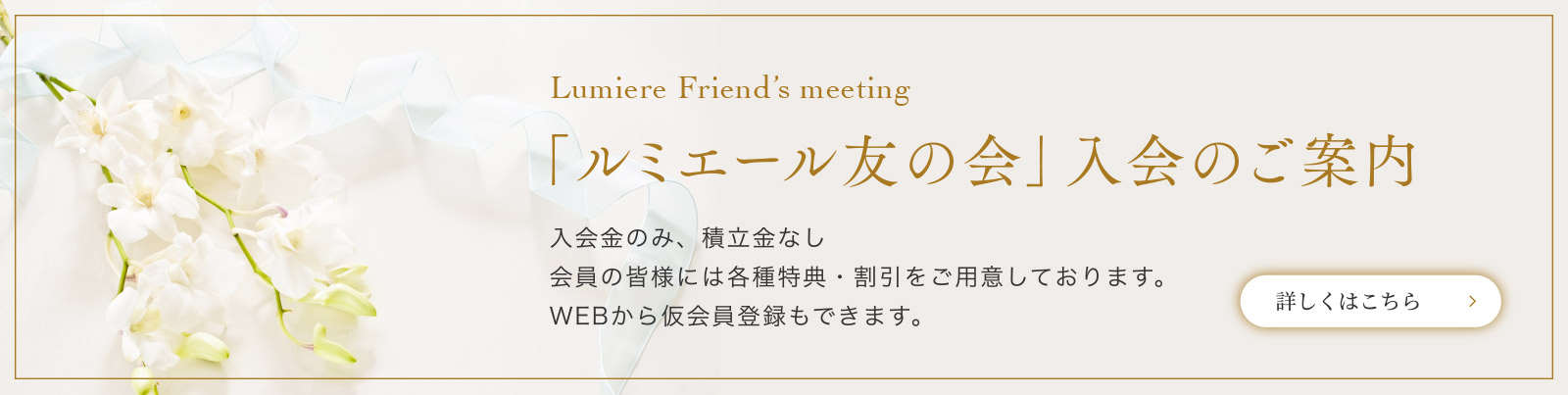 umiere Membership「ルミエール友の会」入会のご案内 | 詳しくはこちら