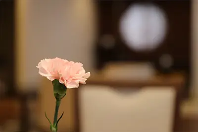 供花・供物のご依頼